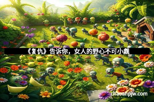 《复仇》告诉你，女人的野心不可小觑